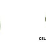 waqf et cellule zawiya