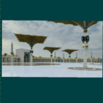 Polish_20230712_192104792