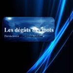 couverture livre le degat des mots