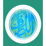 InShot_20240319_120038848